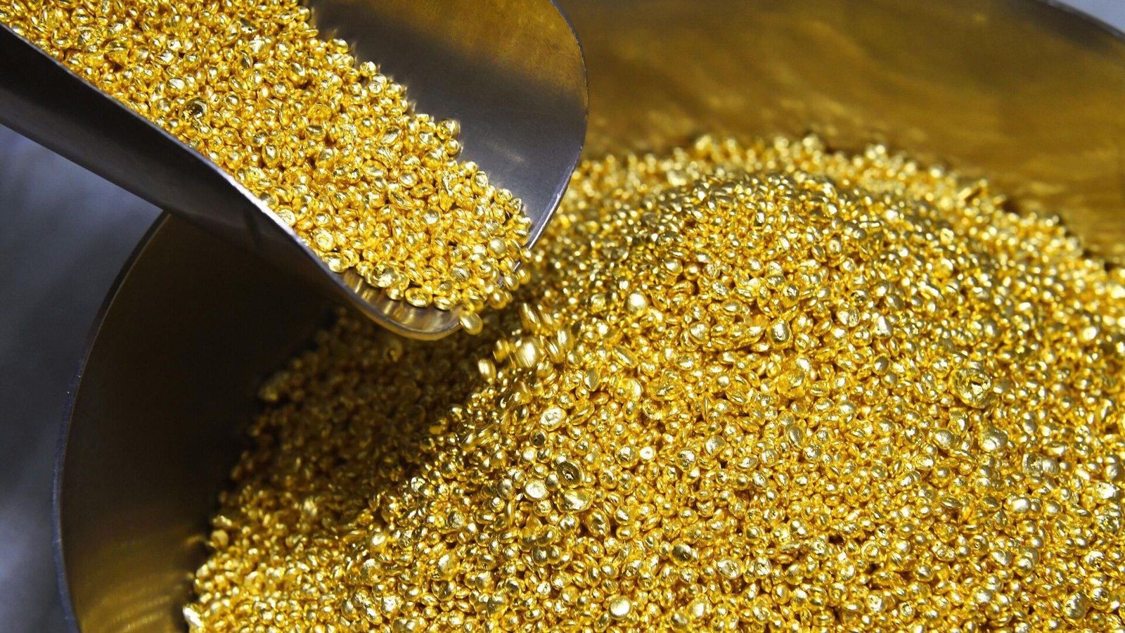 Gold grain being poured into a tray